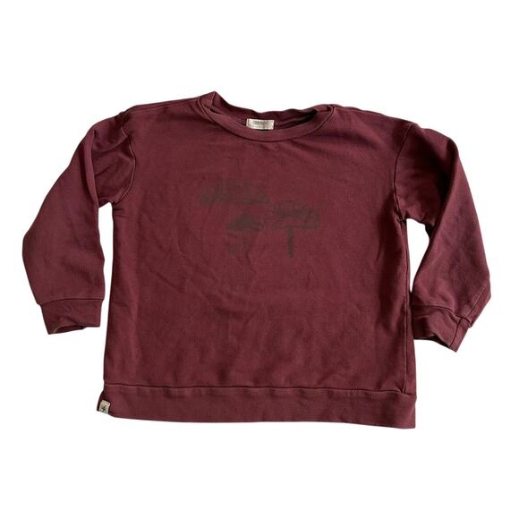 Kid's Mushroom Sweatshirt - Picture 1 of 4